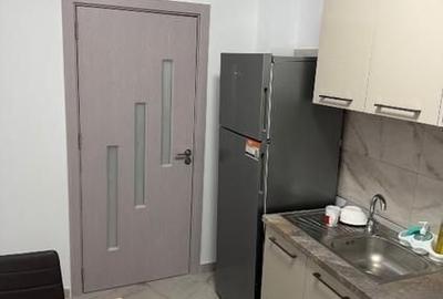 Garsonieră decomandată, mobilată în Theodor Pallady - 2