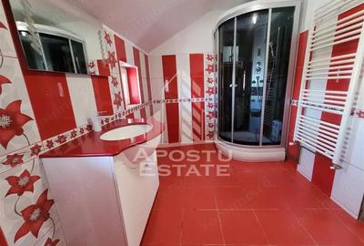 Casă cu 5 camere cu Teren 1763 Mp în Șag - 3