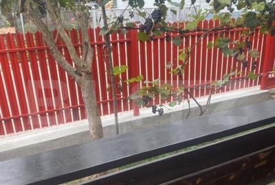 Casă cu 8 camere cu Teren 1000 Mp în Gura Humorului - 9