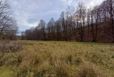 Teren Construcții intravilan de 4500 mp, în Govândari - 9