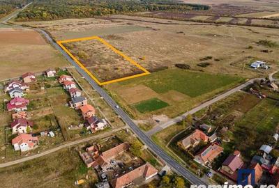 Teren de 19000 mp, în Pișchia - 5