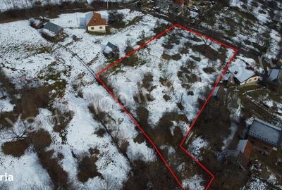 Teren de 3011 mp, în Bradu - 8