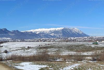 Teren de 5783 mp, în Bran - 7