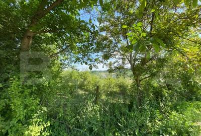 Teren de 3000 mp, în Central - 2