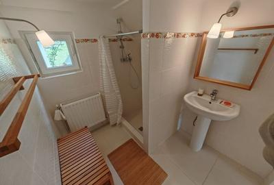 PESTERA CASA DE VANZARE - MOECIU! - 18