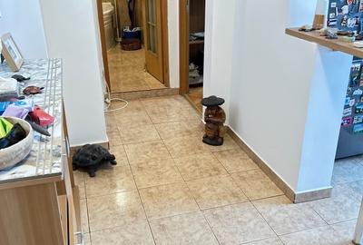 Victoriei Dr Felix , constructie 1989/1990 . Acces rapid si facil in orice zona - 6