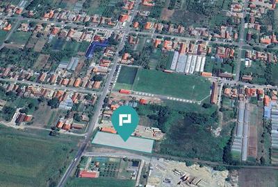 Teren in Pancota - 1