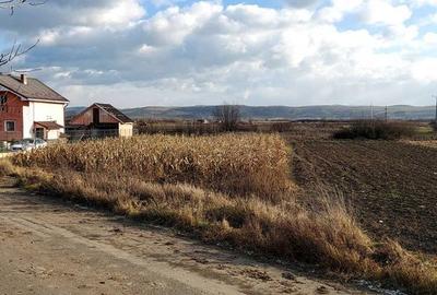 Teren de 750 mp, în Cuzdrioara - 6