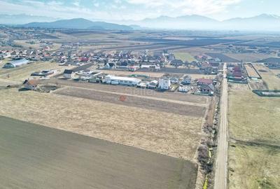 Teren Extravilan, P.U.Z. inceput - 15