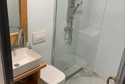 Apartament cu 3 camere decomandat în Ultracentral - 4