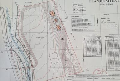 Teren superb intravilan cu PUZ  zona Rasnov Cheile Rasnoavei - 4