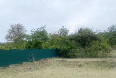 Casă cu 4 camere cu Teren 9000 Mp în Cornești (Gârbău) - 6