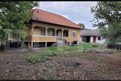 Casă cu 3 camere cu Teren 6869 Mp în Central - 2