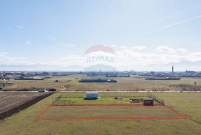 Teren Harman, Strada Henri Coanda, 1000mp Teren Harman, Strada Henri Coanda, 1000mp - 6