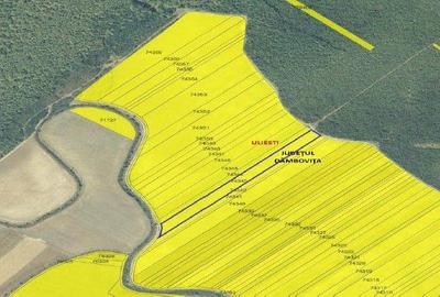 Teren extgravilan agricol Uliesti, ID: R2263433 - 6