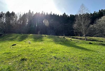 Teren de 6888 mp, în Putna - 6