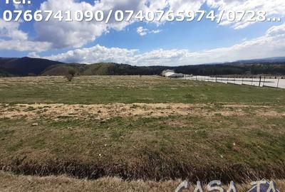 Teren Construcții intravilan de 3000 mp, în Central - 1