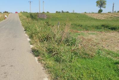 Spațiu comercial, în Central - 2