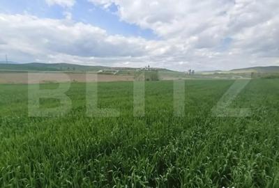 Teren de 52600 mp, în Unirea - 3