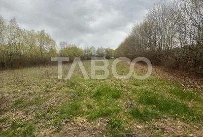 Teren intravilan de vanzare 550m front 21 m utilitati la 120m Cisnadie - 5