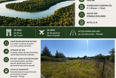 Teren de 1000 mp, în Bălteni - 3
