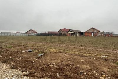 Teren de 600 mp, în Oșorhei - 4