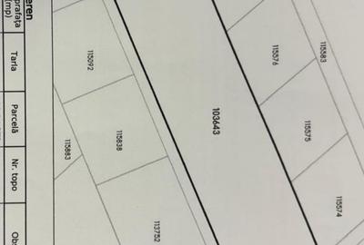 Agigea - Teren intravilan 2500 mp, zons liziera - 2