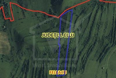 Teren agricol extravilan de 24280 mp, în Sopor - 4
