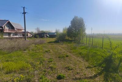 Teren intravilan, 2500mp, front 20ml, Radauti - 2