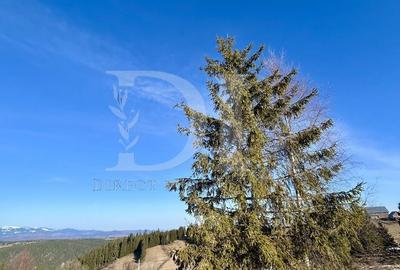 Casă cu 3 camere în Mărișel - 13