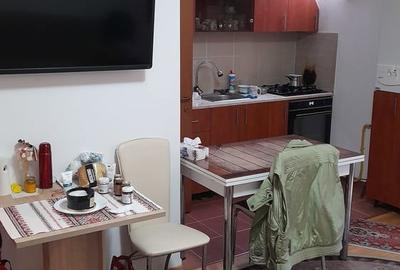 Apartament cu 2 camere semidecomandat în Bușteni - 2