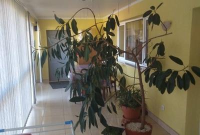 Casa  de vanzare vatra dornei - 6