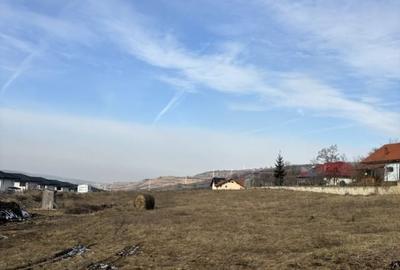 Teren intravilan Popesti 2.300mp front 18ml - 2