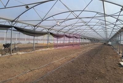 Teren Construcții intravilan de 3144 mp, în Roșiori - 3