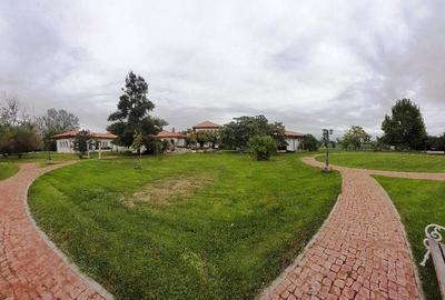 Domeniu  in Prahova- probabil una dintre cele mai frumoase reședințe - 7