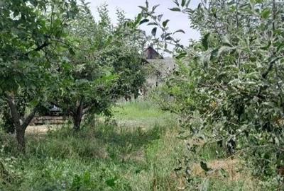 Spațiu comercial, în Filioara - 5