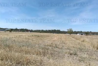 Teren intravila de vanzare Pruni Magurele - 2