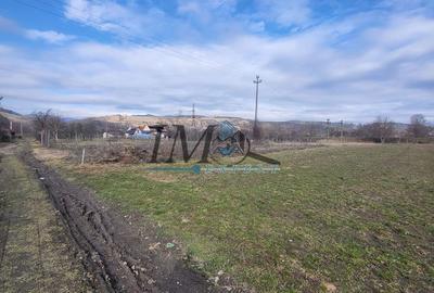 Teren de 2400 mp, în Vințu de Jos - 4