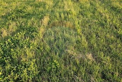 Teren Construcții intravilan de 1495 mp, în Dobreni - 32