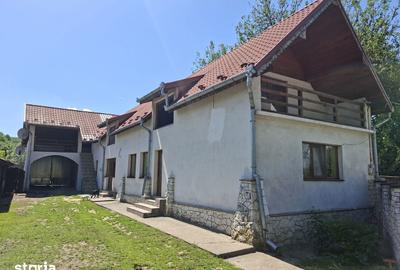 Casă cu 3 camere cu Teren 1485 Mp în Dobra - 11