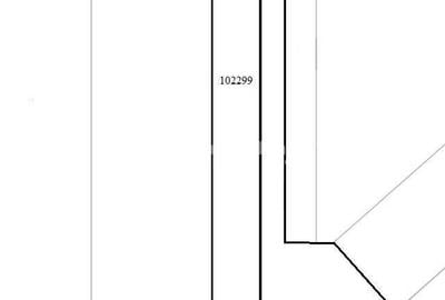 Teren de 4000 mp, în Lumina - 4