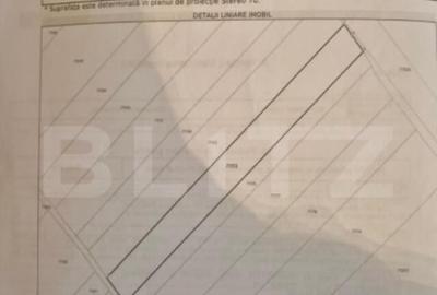 ???? Teren extravilan 3.800 mp, zona Mane?ti, deschide - 2