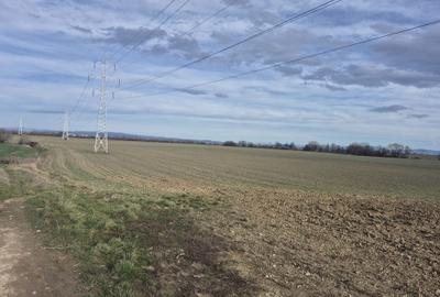 Spațiu comercial, în Colonia 1 Mai - 6