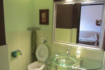 Vanzare apartament piata amzei doua camere - 10