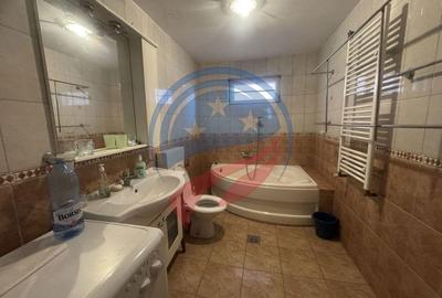 Proprietate deosebita in Filiasi - 8