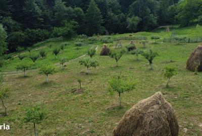 Spațiu comercial, în Cicănești - 7