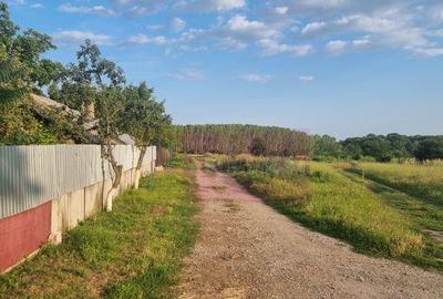 Se vinde teren 4200 mp in Teisori Giurgiu - 25