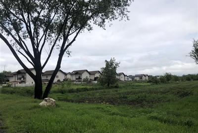 TEREN STRADAL CU UTILITATI | CONSTRUCTII CIVILE | 5000 mp | Bartolomeu TEREN STRADAL CU UTILITATI | CONSTRUCTII CIVILE | 5000 mp | Bartolomeu - 3