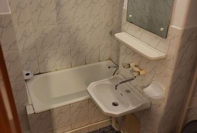 Garsonieră semidecomandată în Preajba Mare - 2