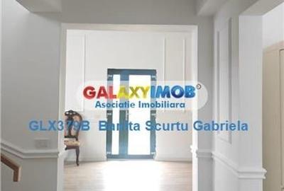 Vanzare vila  p +1 E. 4 camere  renovata  complet 2025  Snagov - 2